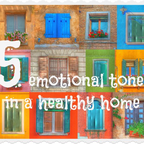 5-emotional-tones-in-a-healthy-home-don-olund-helping-couples-and